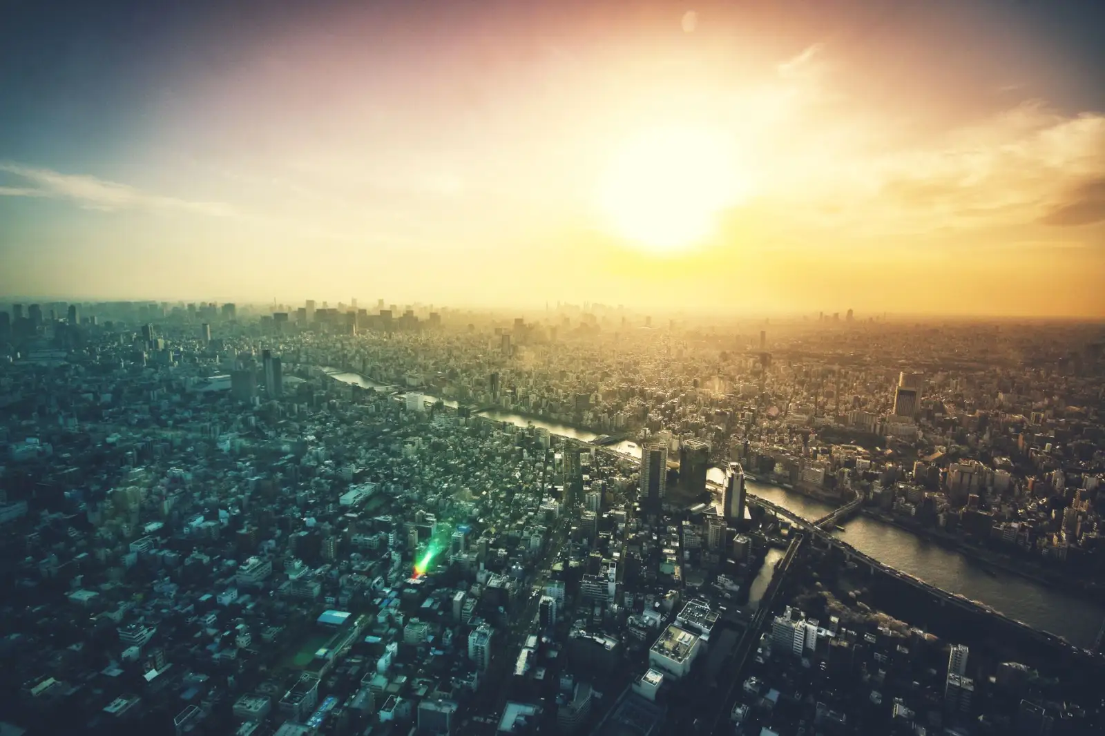 2024年媒介策略报告撰写要点：从受众洞察到投放优化建议