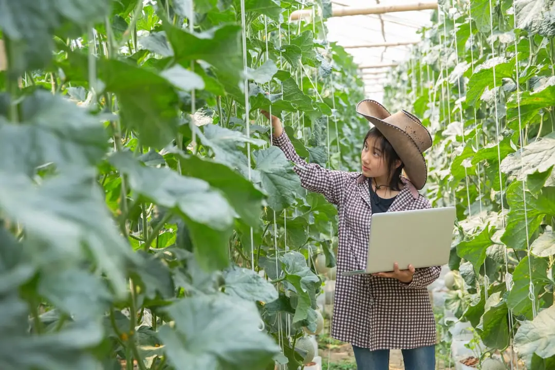 基于ROI分析的广告投放优化策略：从数据洞察到媒介策略建议