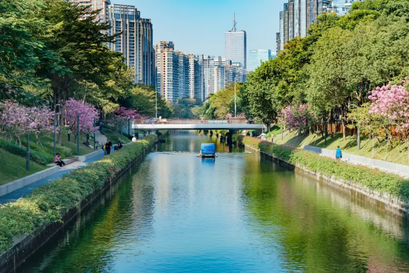 2024年广告投放优化建议：基于ROI分析报告的实践指南