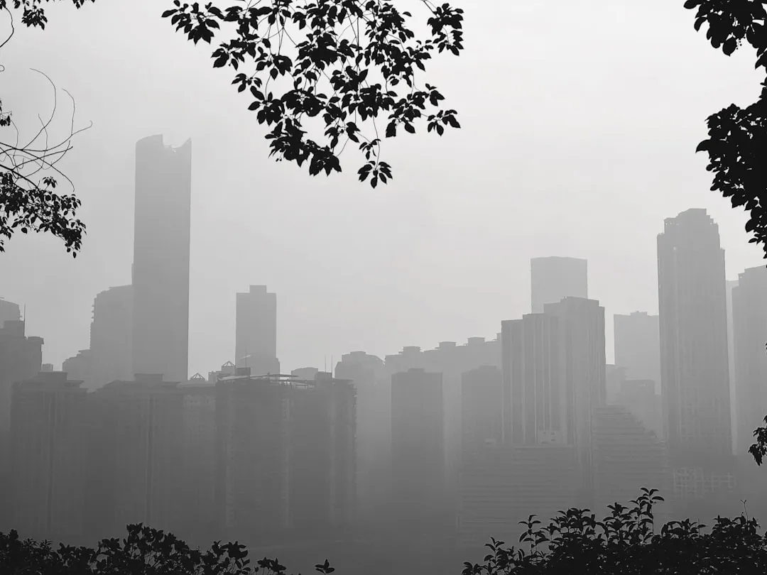 2025年华南品牌广告投放ROI分析报告撰写要点与误区规避
